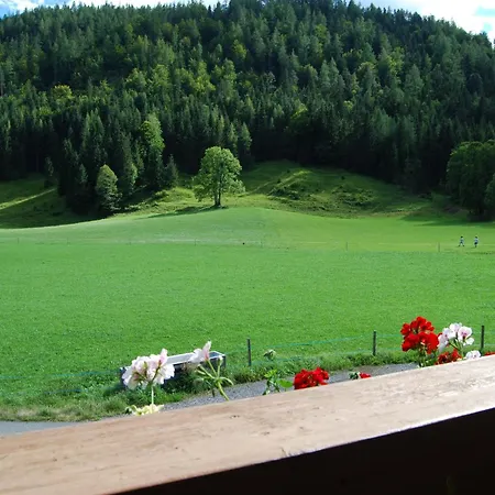 Gaestehaus Luise Pensión 3*
